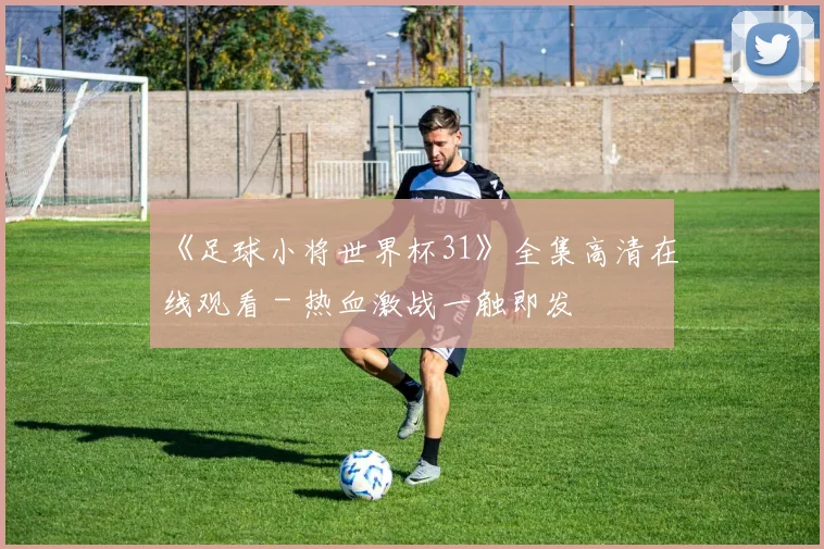 《足球小将世界杯31》全集高清在线观看 - 热血激战一触即发